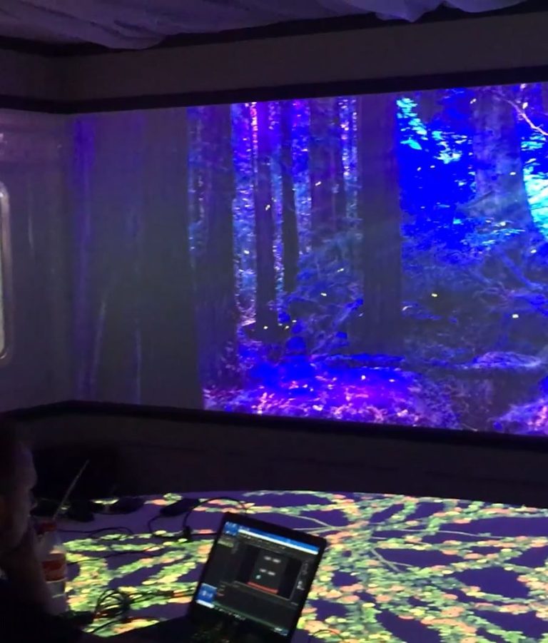 Projection Mapping - Immersive Studio